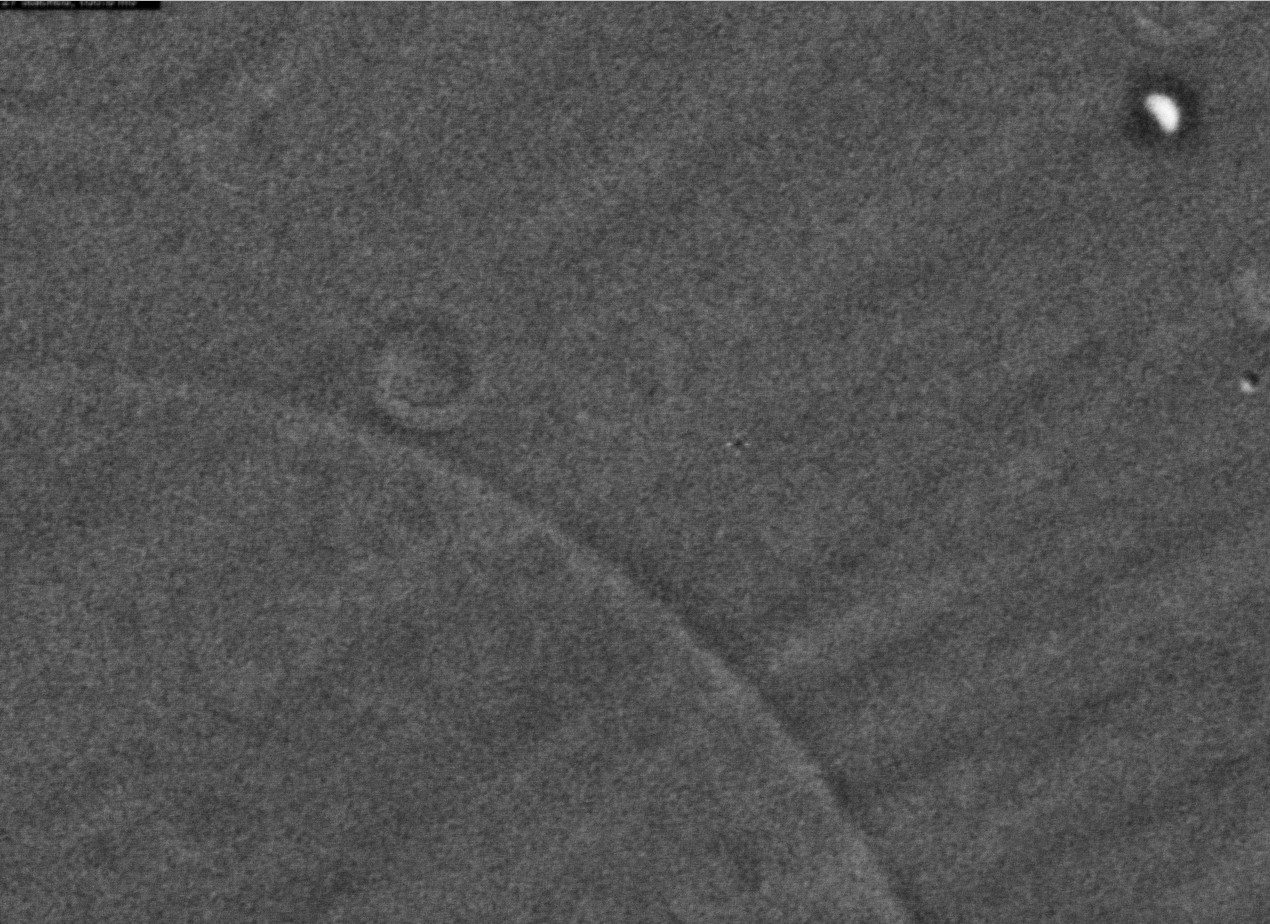 Venus neben Mondsichel um 13:06
