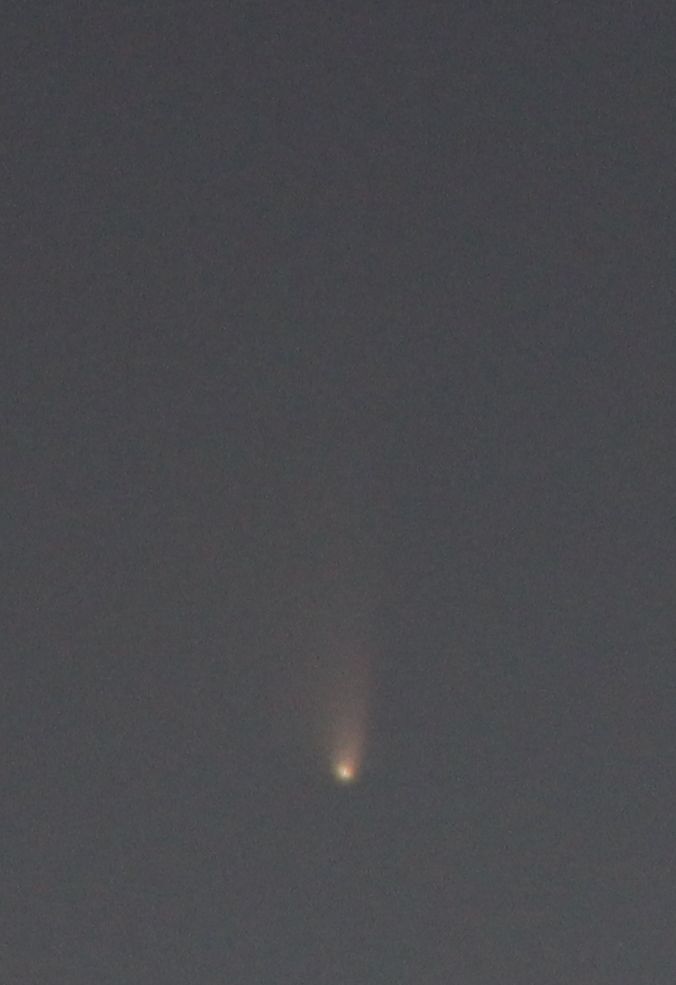 Komet Panstarrs 19. März 2013