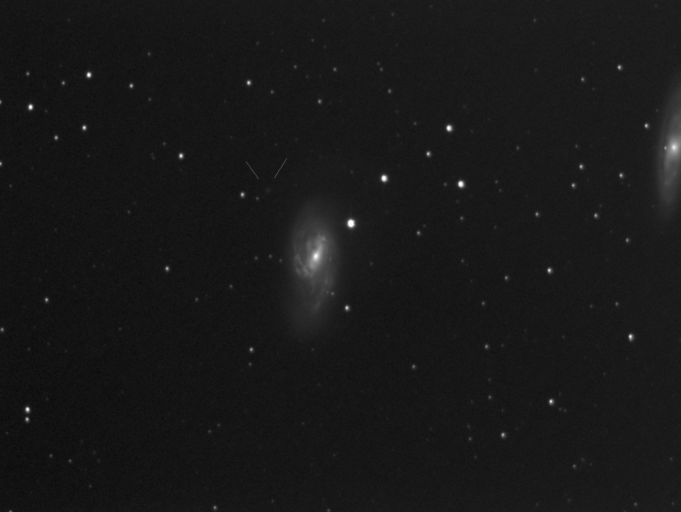 Komet 74P neben M65