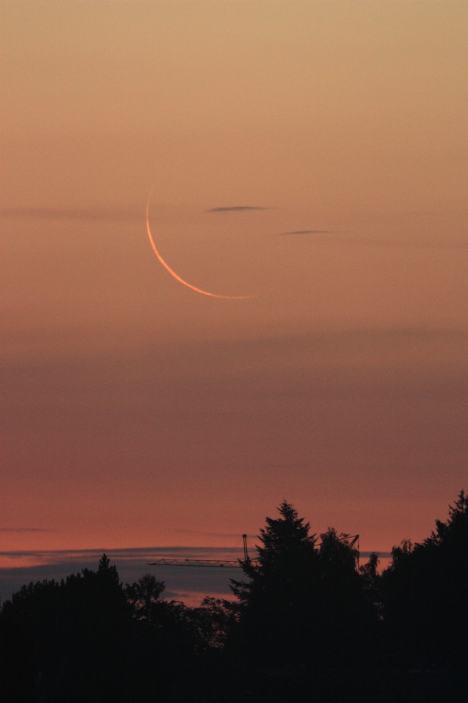 Mondsichel 24h vor Neumond