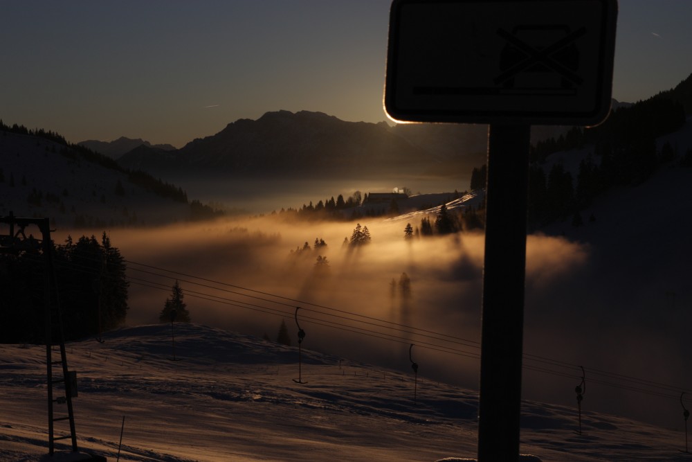 shadows in the morning fog