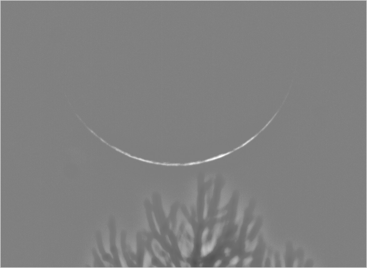 crescent of 23. march