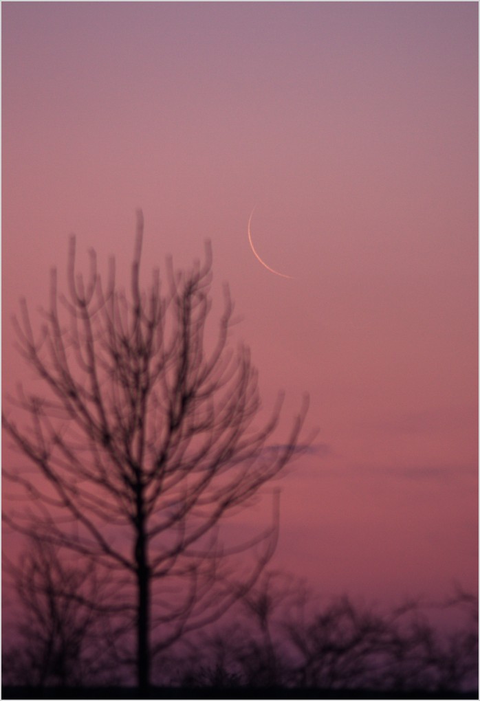 crescent of 21. march