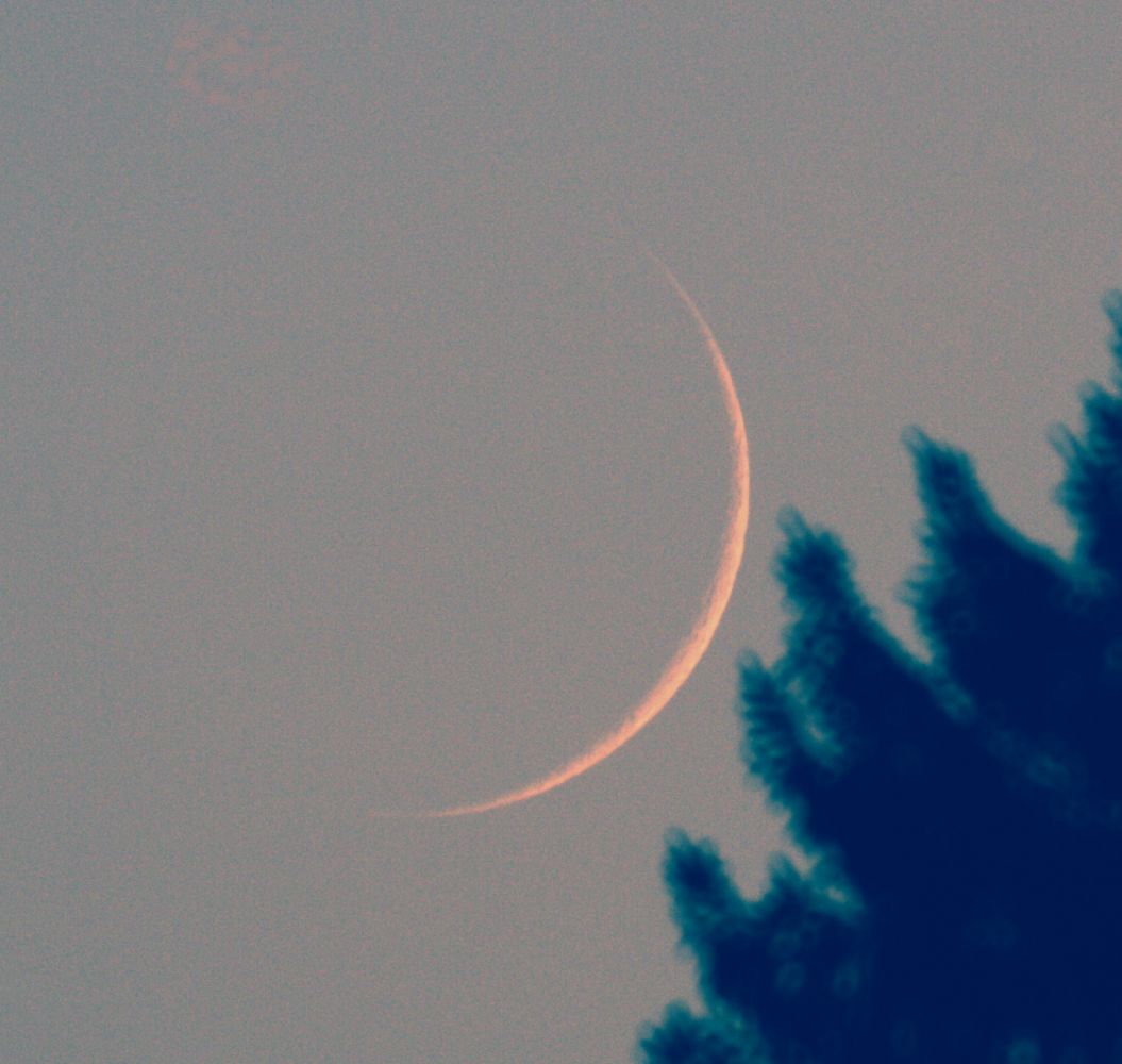 Young crescent on 8. September