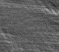 Junge Sichel am 20. Dezember