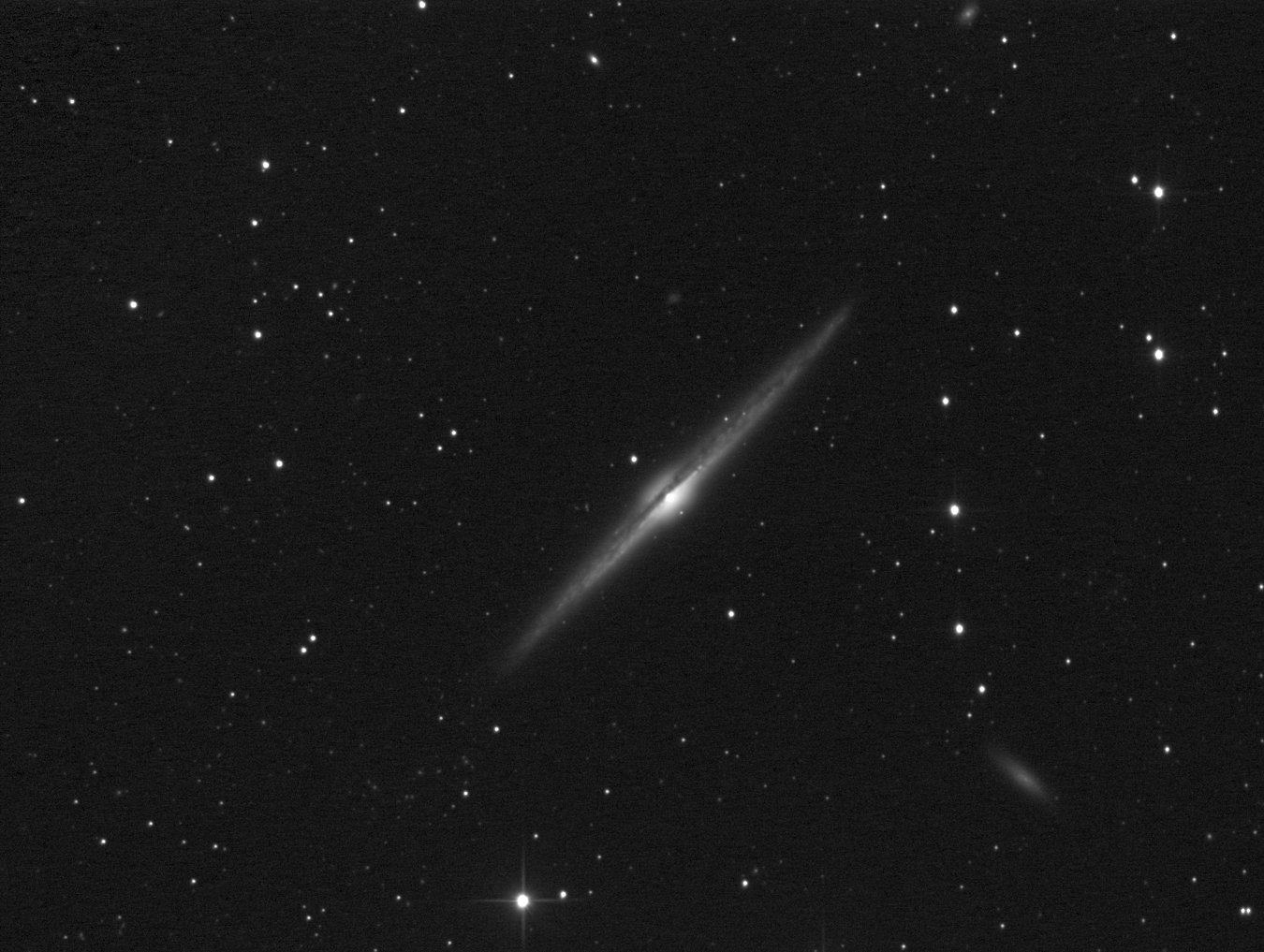 NGC4565