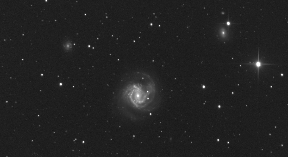 SN in M61