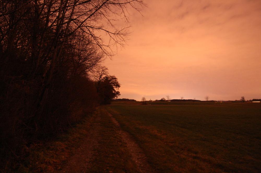 Wiese, weg von der Strasse