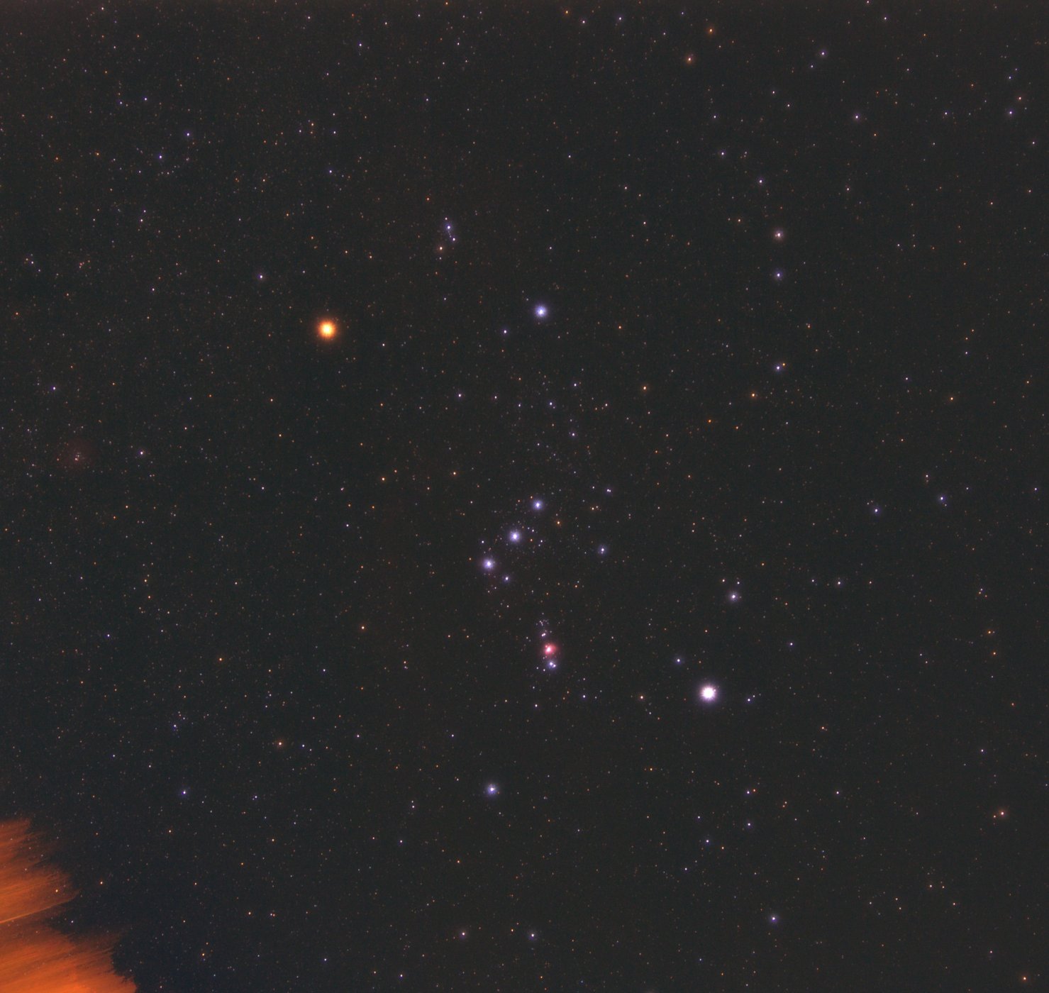 Orion